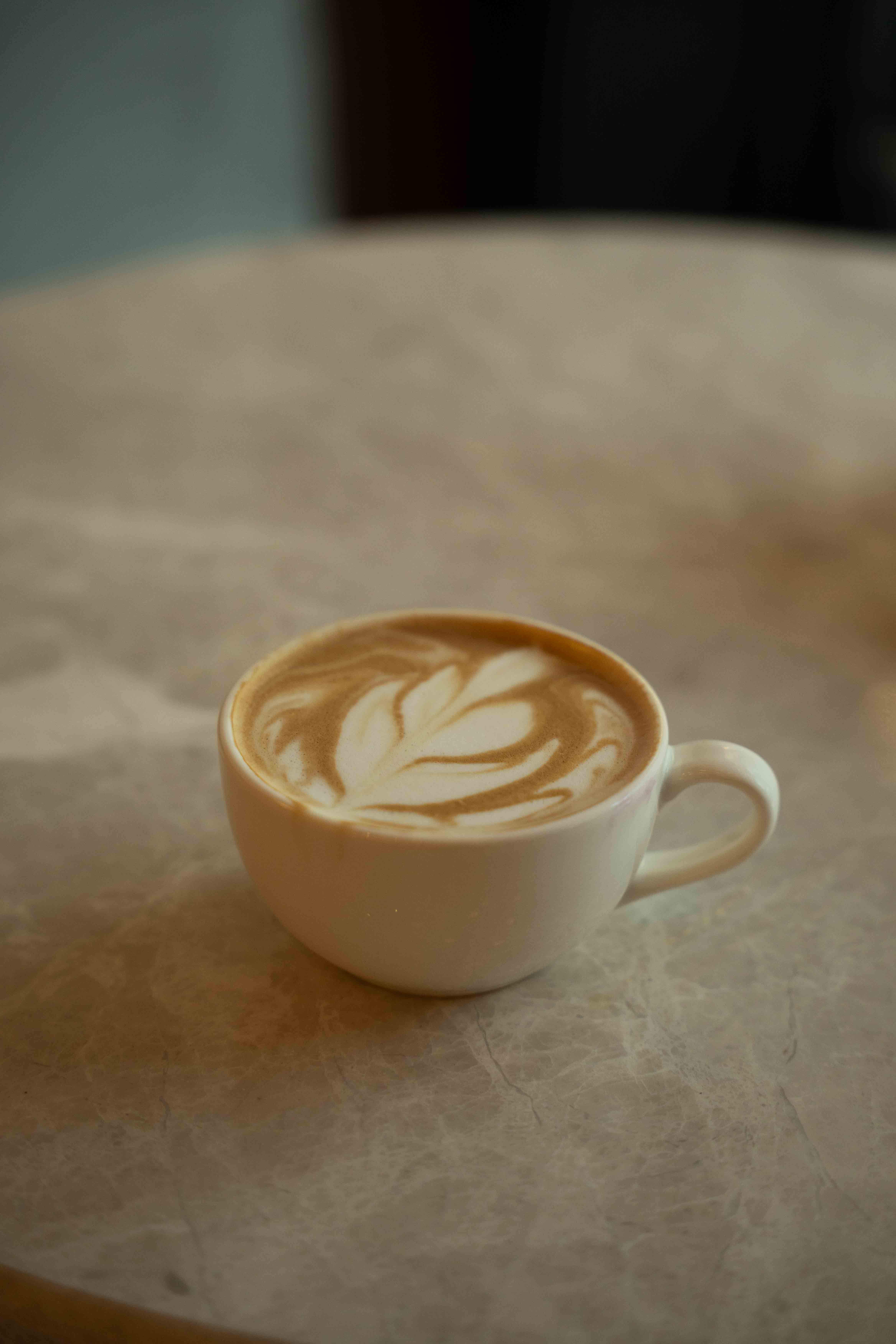 SPECULOOS LATTE