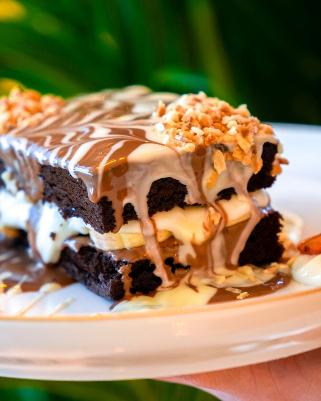 Brownie Belgium Medium