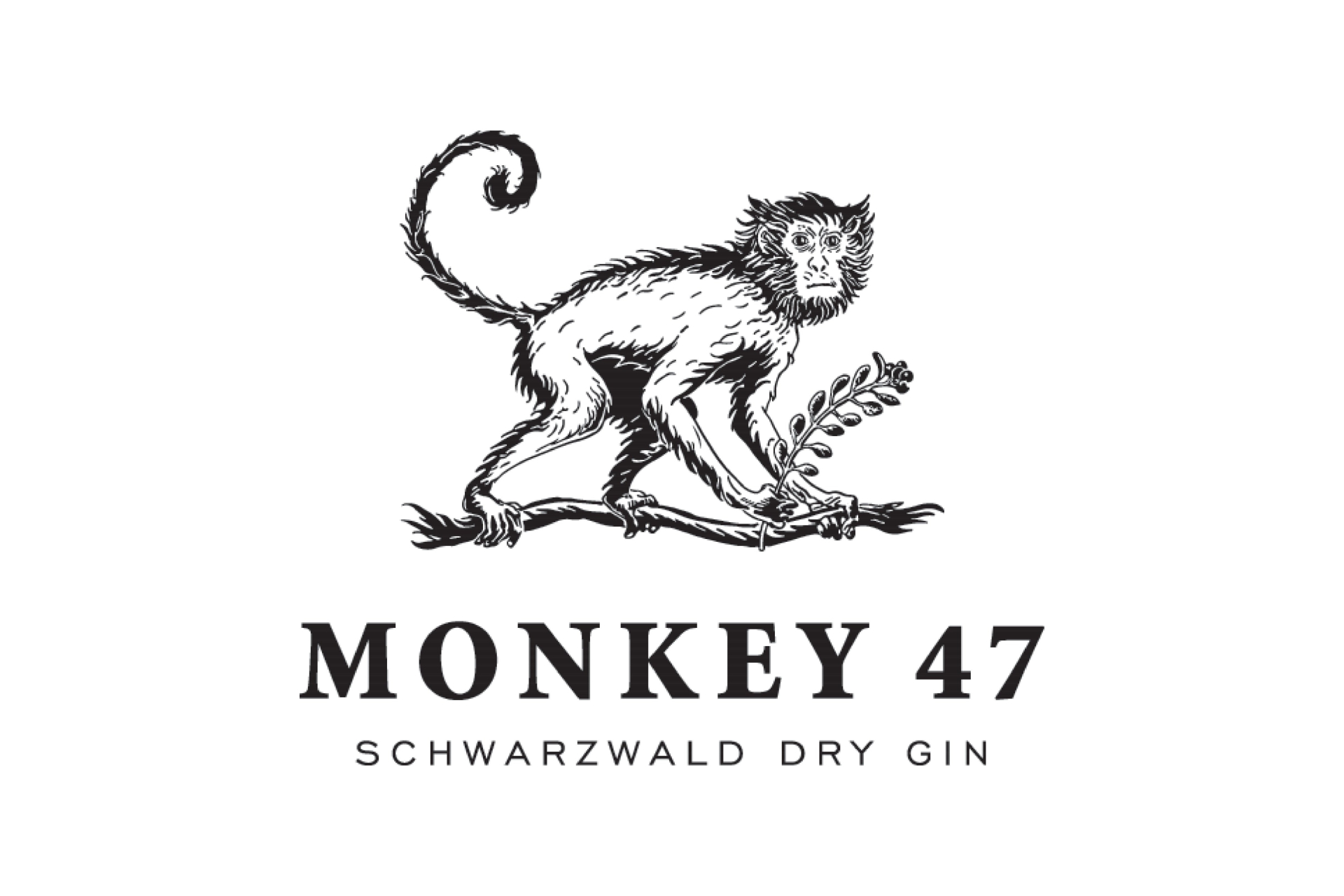 Monkey 5 cl